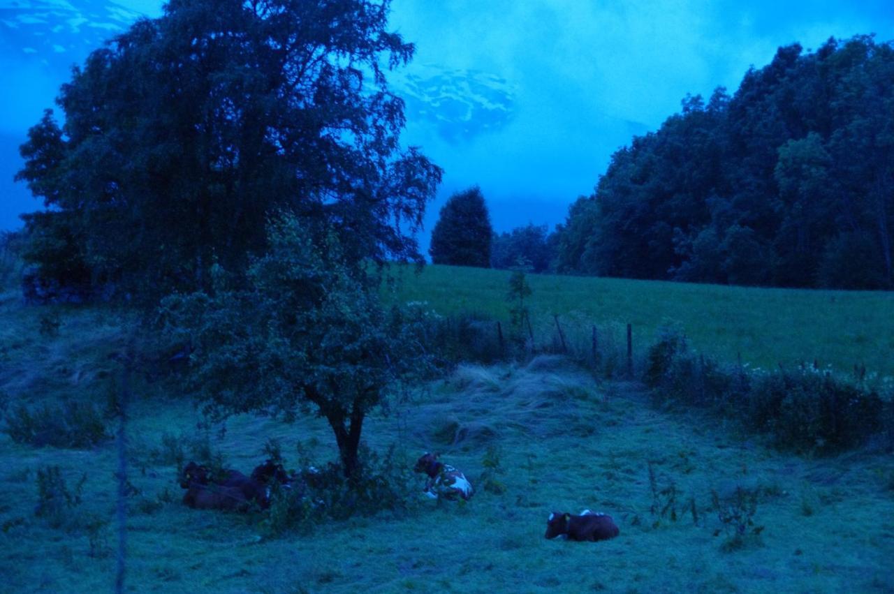 Orheimstunet - Gardsferie For Storfamilien Der Ogsa Hunden Er Velkommen Starheim Exterior foto