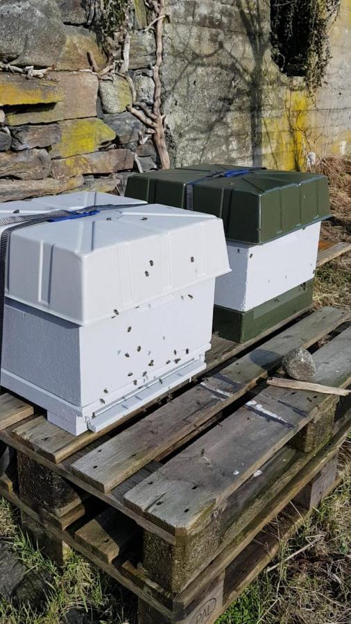 Orheimstunet - Gardsferie For Storfamilien Der Ogsa Hunden Er Velkommen Starheim Exterior foto